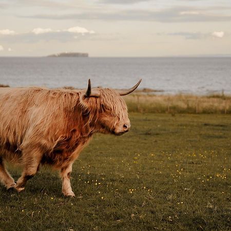 Clover Cottage Countryside Retreat With Sea Views Crail Bagian luar foto