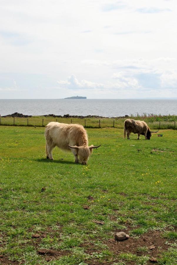 Clover Cottage Countryside Retreat With Sea Views Crail Bagian luar foto