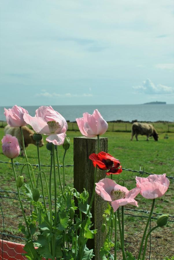 Clover Cottage Countryside Retreat With Sea Views Crail Bagian luar foto