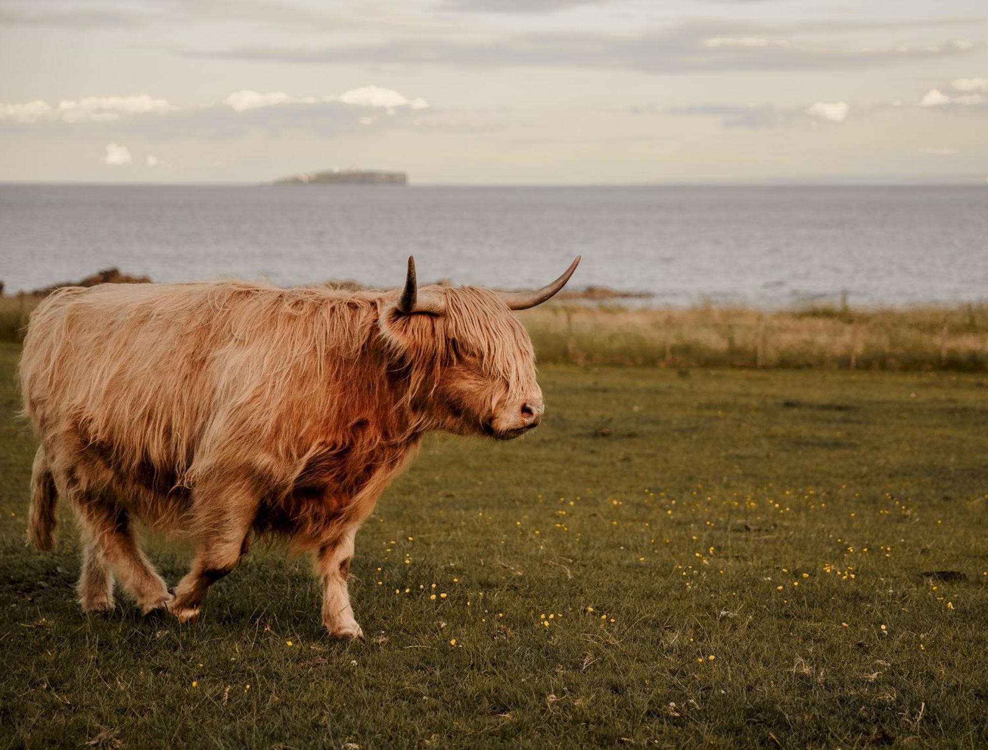 Clover Cottage Countryside Retreat With Sea Views Crail Bagian luar foto